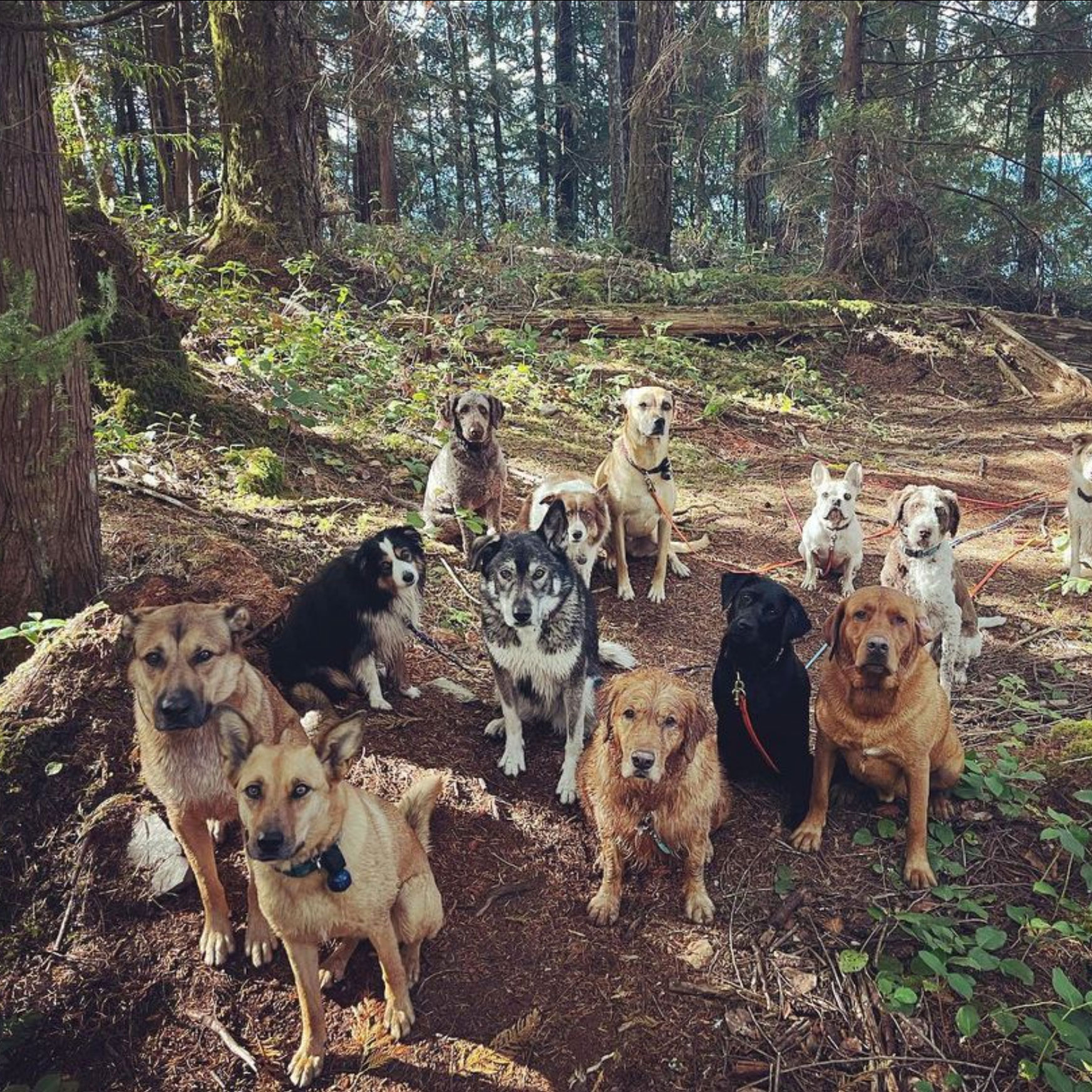 Adventure Hike - Single - Image 2