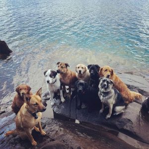 Adventure Hike - Single