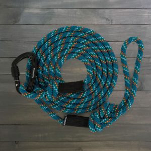 Reflective Leash